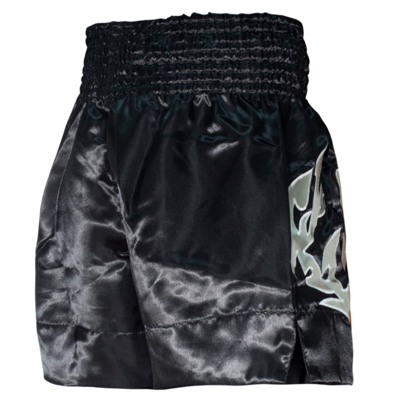 Fairtex Muay Thai Shorts - Eternal Zilver