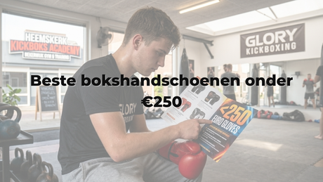 Beste bokshandschoenen onder €250
