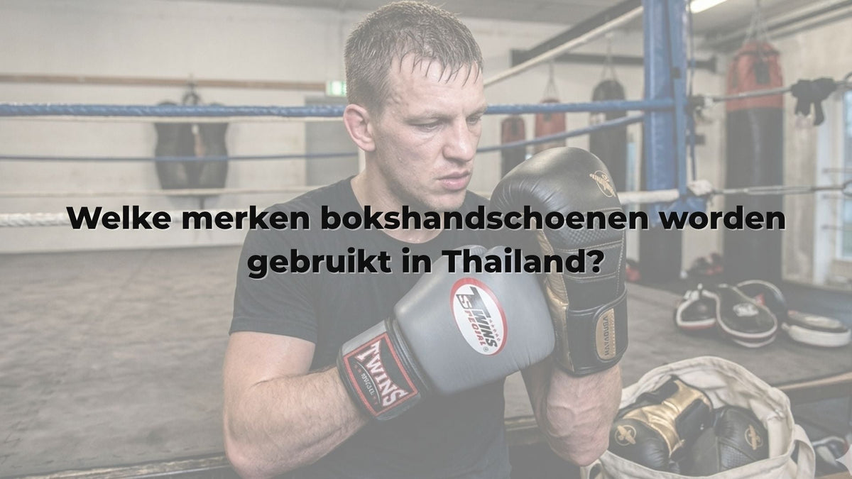 Hayabusa vs Twins: verschillen uitgelegd