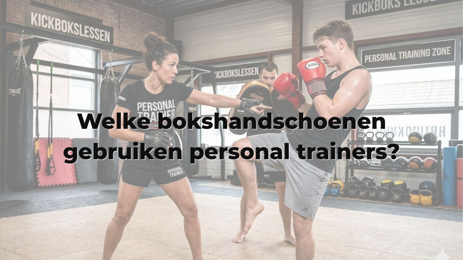 Welke bokshandschoenen gebruiken personal trainers?