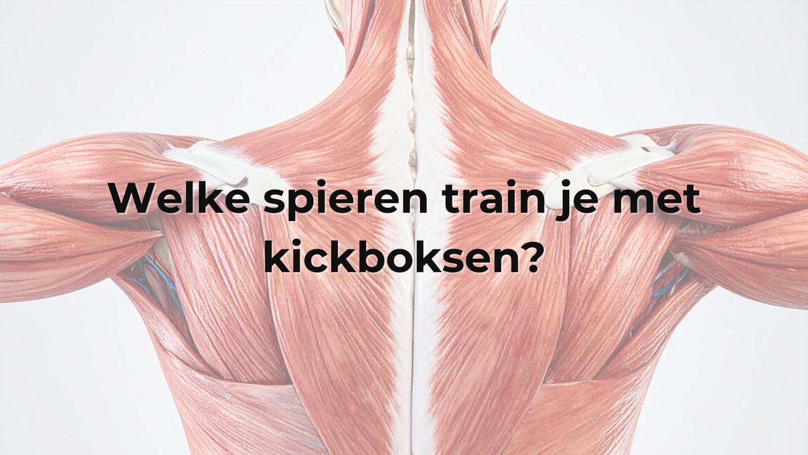 Welke spieren train je met kickboksen?