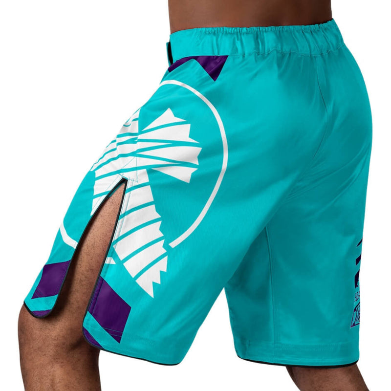 Hayabusa Icon Fight Shorts - Teal / Wit