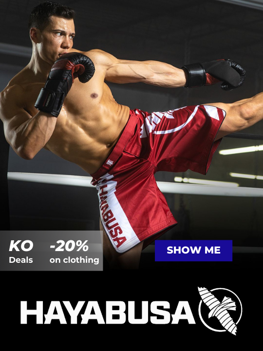 hayabusa-sale-banner-EN-mobile