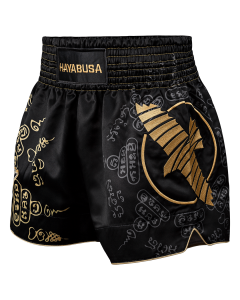 Hayabusa Falcon Muay Thai Shorts - Black