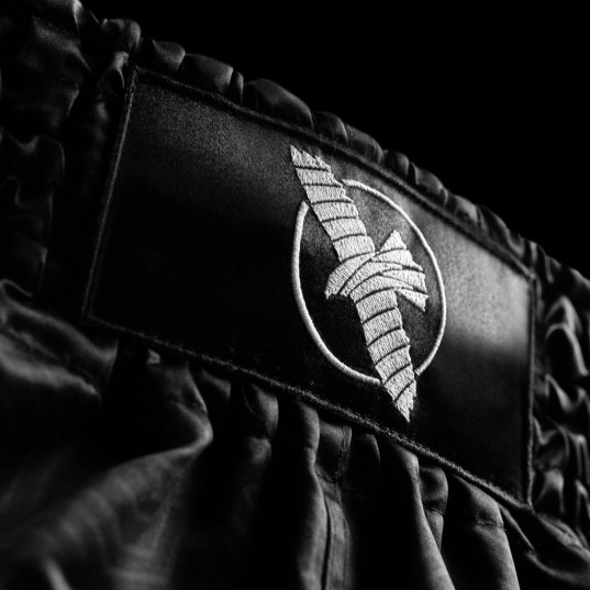 Hayabusa Core Muay Thai Shorts - Schwarz