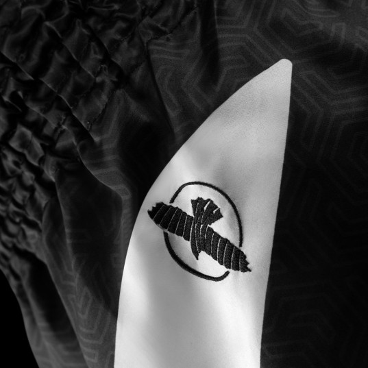 Hayabusa Core Muay Thai Shorts - Schwarz