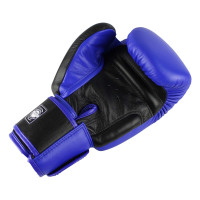 Twins Boxing Gloves - BGVL 3 - Retro Blue / Black