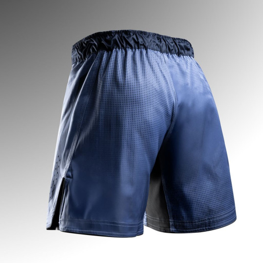 Hayabusa Core Full-Length Fight Shorts für Männer - Blau