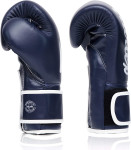 Fairtex Microfiber Boxing Gloves - Blue