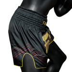 Fairtex Muay Thai Shorts - BS1925 Mr.X