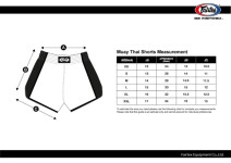 Fairtex Muay Thai Shorts - "Focus" -  Black