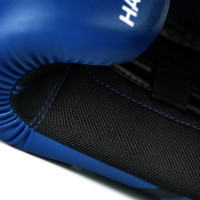 Hayabusa E1 Boxing Gloves Kids - Blue/Black