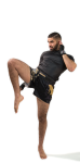 Hayabusa Falcon Muay Thai Shorts - Black