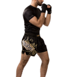 Hayabusa Falcon Muay Thai Shorts - Black