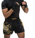 Hayabusa Falcon Muay Thai Shorts - Black