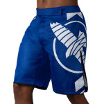 Hayabusa Icon Fight Shorts - Blue / White