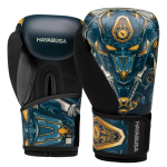 Hayabusa S4 Youth Boxing Gloves - Robot