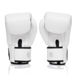 ONE Championship x Fairtex Boxing Gloves - Leather - White