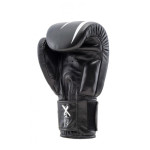 Rinkage Ares Boxing Gloves - Leather - Black