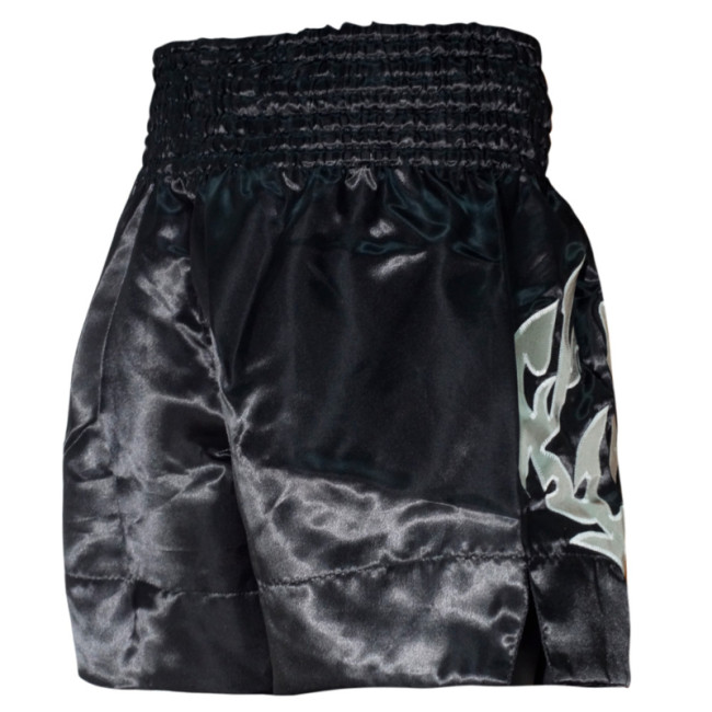 Fairtex Muay Thai Shorts - Eternal Silver