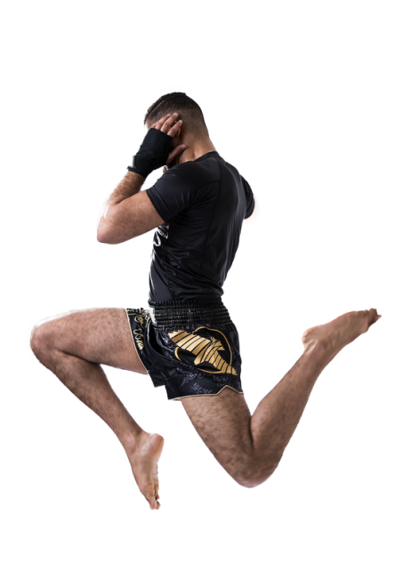 Hayabusa Falcon Muay Thai Shorts - Black