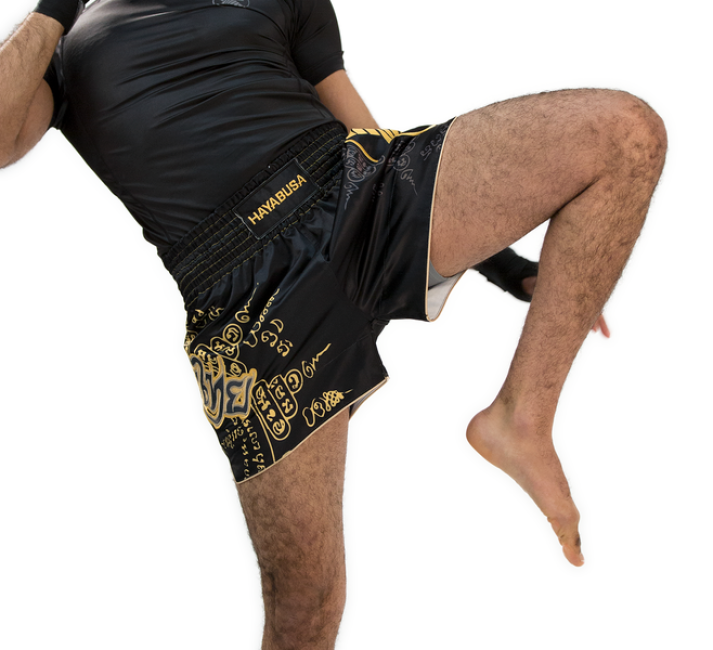 Hayabusa Falcon Muay Thai Shorts - Black