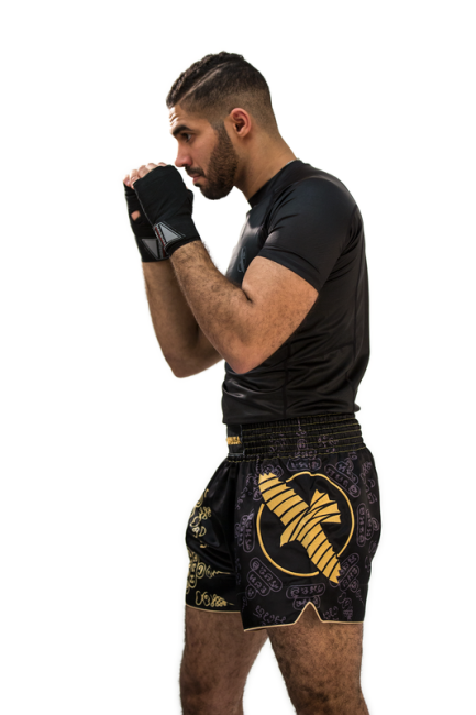 Hayabusa Falcon Muay Thai Shorts - Black