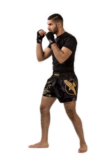 Hayabusa Falcon Muay Thai Shorts - Black