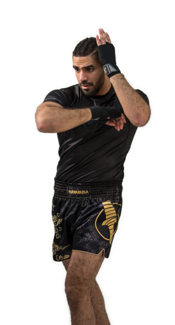 Hayabusa Falcon Muay Thai Shorts - Black